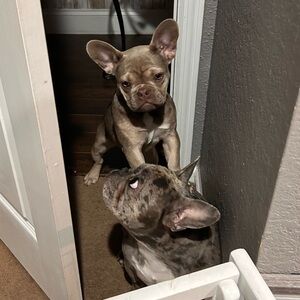 Meet your Posher, Nastassja